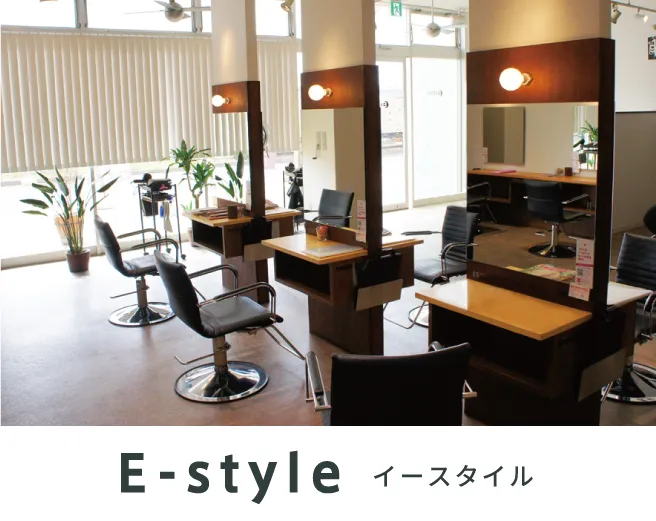 E-STYLE